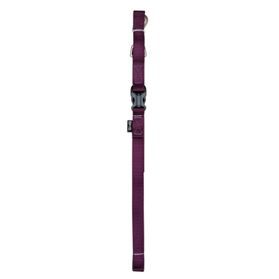 Zeus Nylon Dog Leash Royal Purple  Leashes  | PetMax Canada