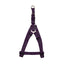 Zeus Nylon Dog Harness Royal Purple Sm: 3/8 x 13-18 in Harnesses Sm: 3/8 x 13-18 in | PetMax Canada