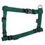 Zeus Nylon Dog Harness Forest Green Lg: 3/4 x 18-27 in Harnesses Lg: 3/4 x 18-27 in | PetMax Canada