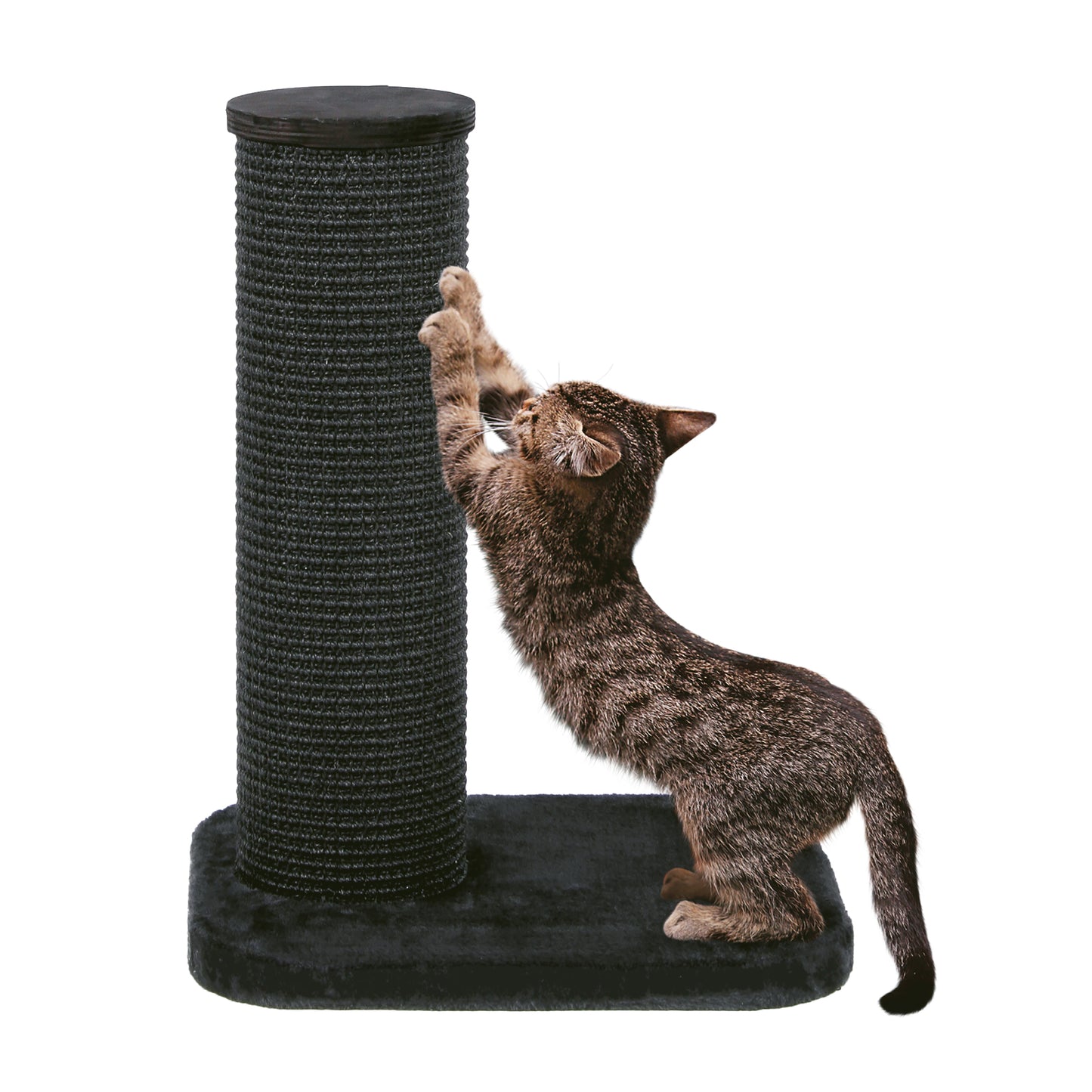 Zolux City Cat 1 Cat Scratching Post Grey  Cat Scratching Posts  | PetMax Canada