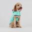GF Pet Reversible Raincoat Neon Aqua For Dogs