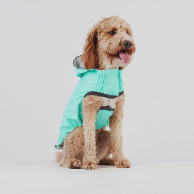 GF Pet Reversible Raincoat Neon Aqua For Dogs