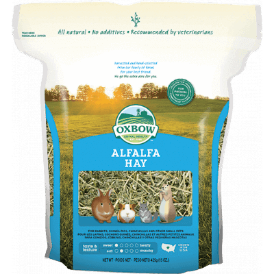 Oxbow Small Animal Health Alfalfa Hay - 425g - Small Animal Litter - Oxbow - PetMax Canada
