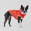 GF Pet Insulated Raincoat Orange For Dogs