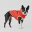 GF Pet Imperméable Isolé Orange Pour Chiens