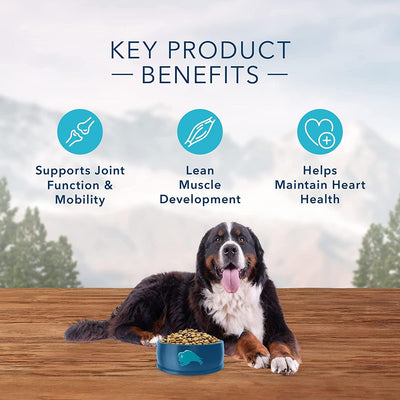 Blue Buffalo Wilderness Dog Food Large Breed Chicken - 10.9 Kg - Dog Food - Blue Buffalo - PetMax Canada