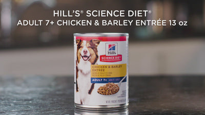 Nourriture pour chiens Hill's Science Diet Adult 7+ Beef &amp; Barley Entrée 