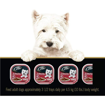 Cesar Classic Loaf in Sauce Filet Mignon Entrées Wet Dog Food - 100g - Canned Dog Food - Cesar - PetMax Canada