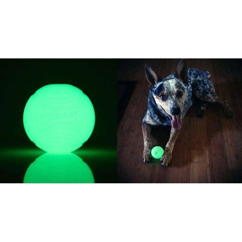 Chuck It Max Glow Ball  Dog Toys  | PetMax Canada