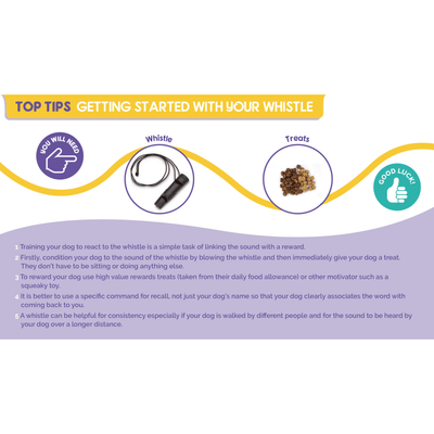 Company of Animals Dog Whistle - Dog Whistle - Training Products - The Company of Animals - PetMax Canada