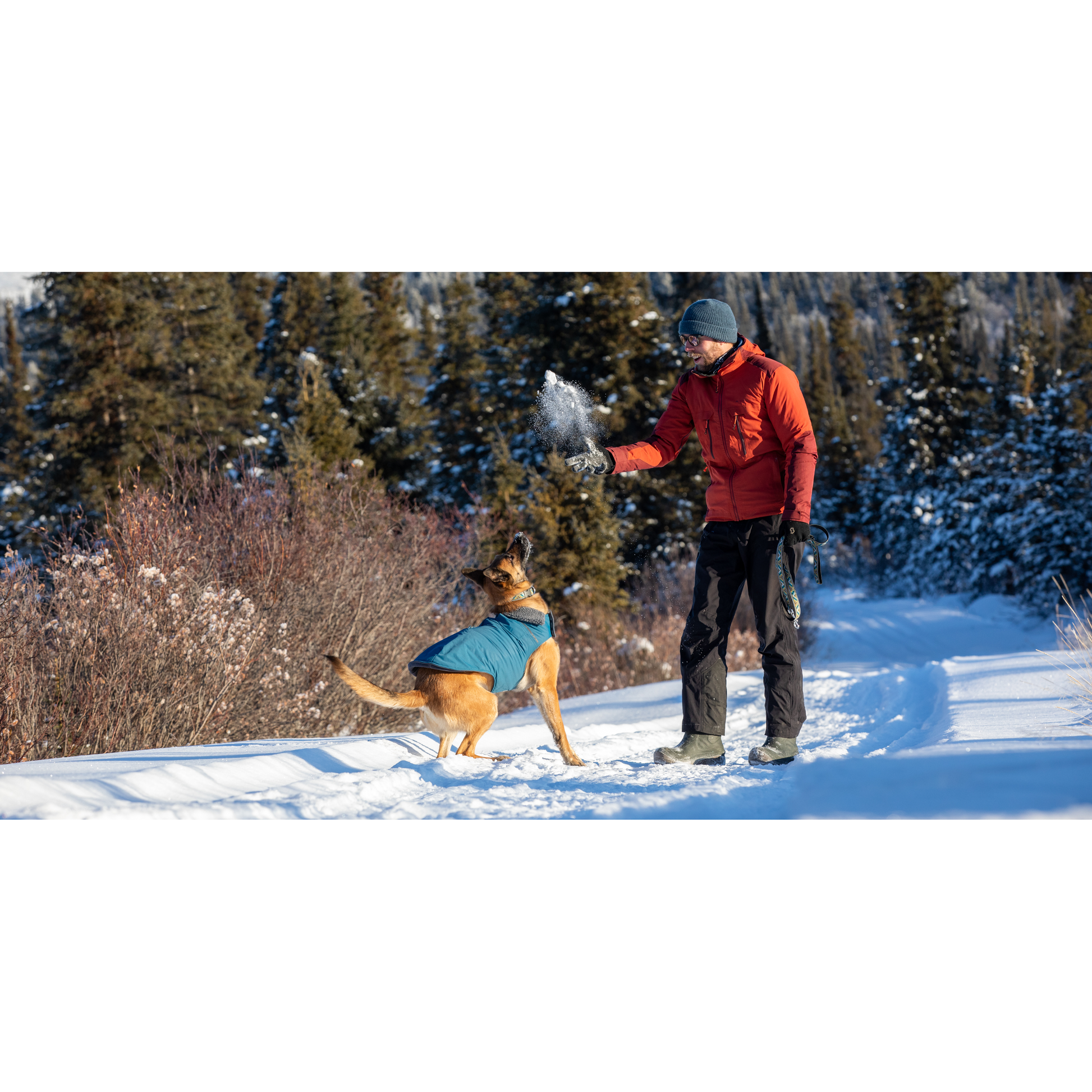 RC Dog District Arctic Blue  Coats  | PetMax Canada