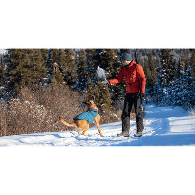 RC Dog District Arctic Blue - 10" - Coats - RC Pet Products - PetMax Canada