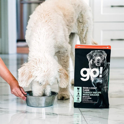 GO! SKIN + COAT CARE Turkey Recipe for dogs - 1.59 Kg - Dog Food - Go! - PetMax Canada