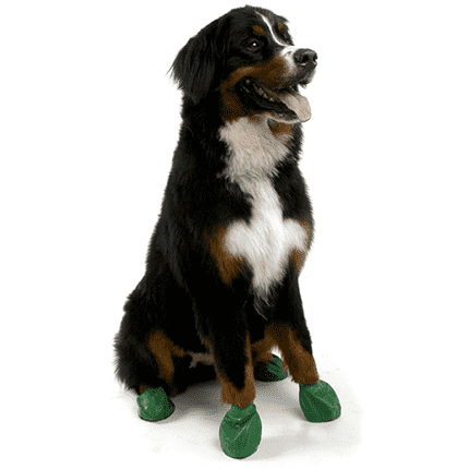 Pawz Dog Boots Green / X-Large Boots Green | PetMax Canada