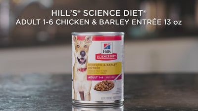 Nourriture pour chiens Hill's Science Diet Entrée de poulet et d'orge pour adultes