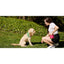 RC Pet Essential Treat Bag Heather Black - Black - Training Products - RC Pet Products - PetMax Canada