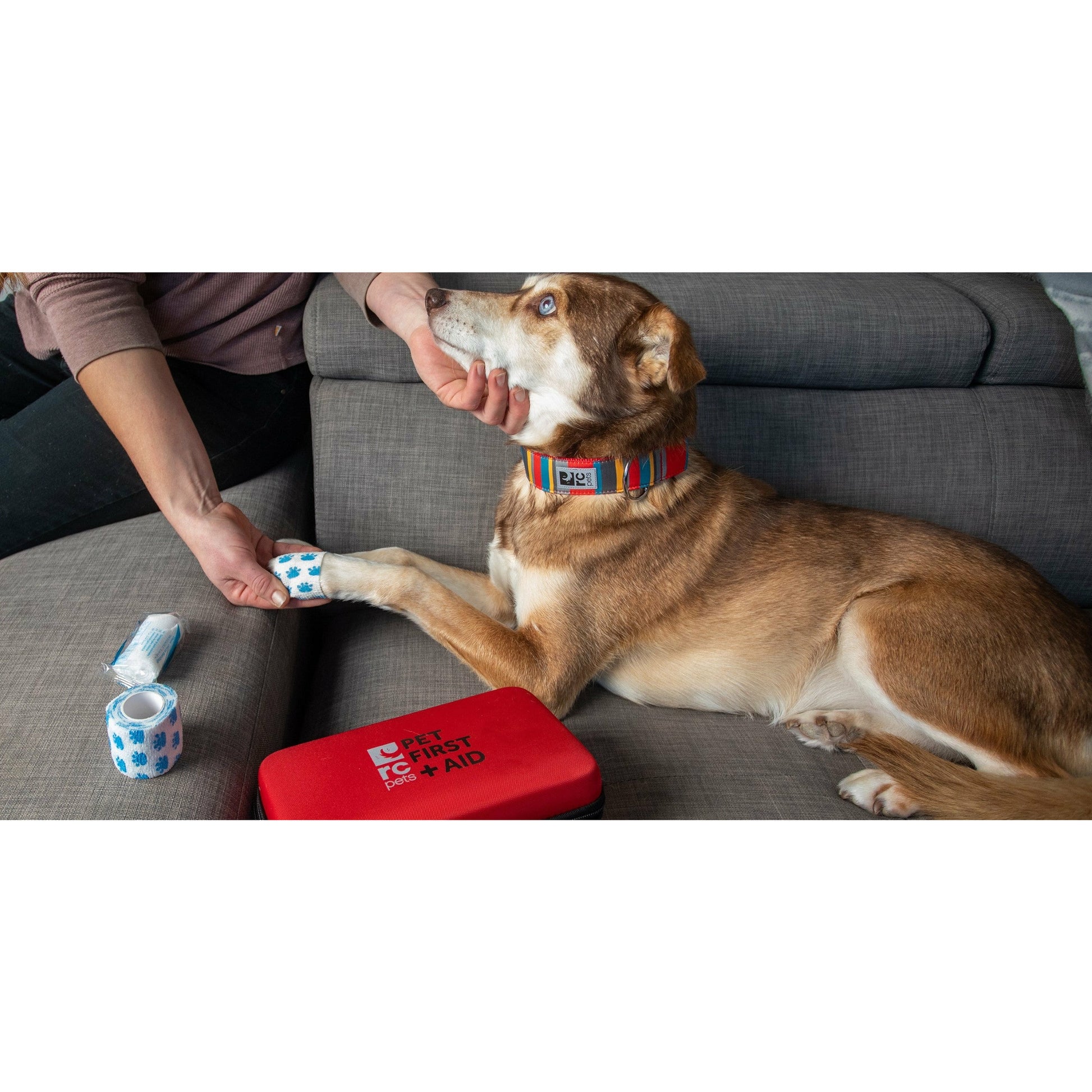 RC Pet First Aid Kit  Health Care  | PetMax Canada