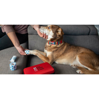 RC Pet First Aid Kit - First Aid Kit - Health Care - RC Pet Products - PetMax Canada