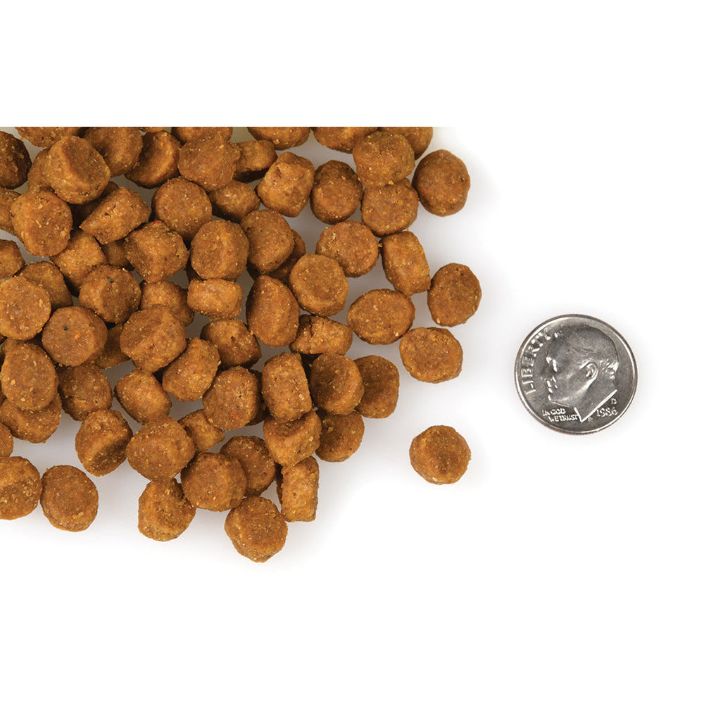 Fromm 4-Star Canine Chicken A La Veg  Dog Food  | PetMax Canada