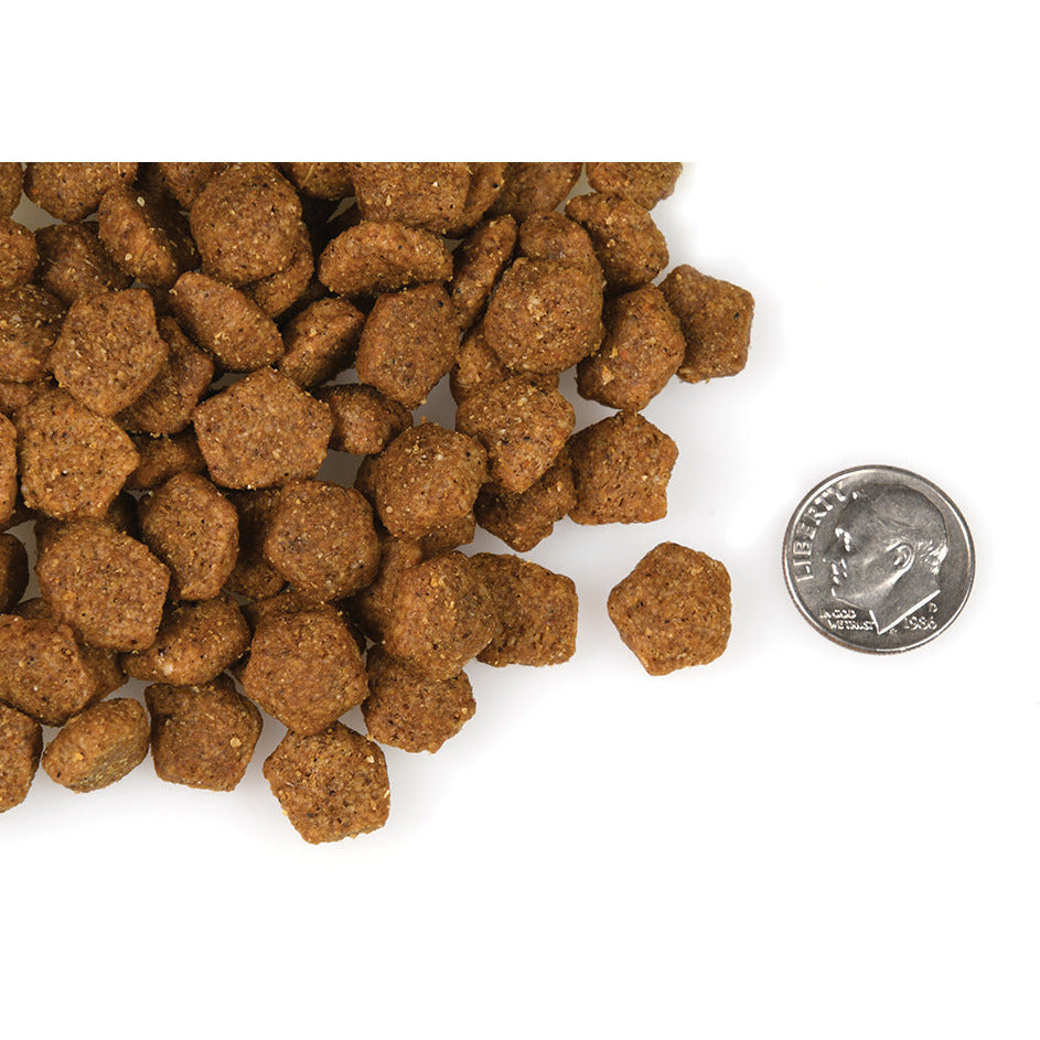 Fromm 4-Star Canine Duck À La Veg Recipe  Dog Food  | PetMax Canada