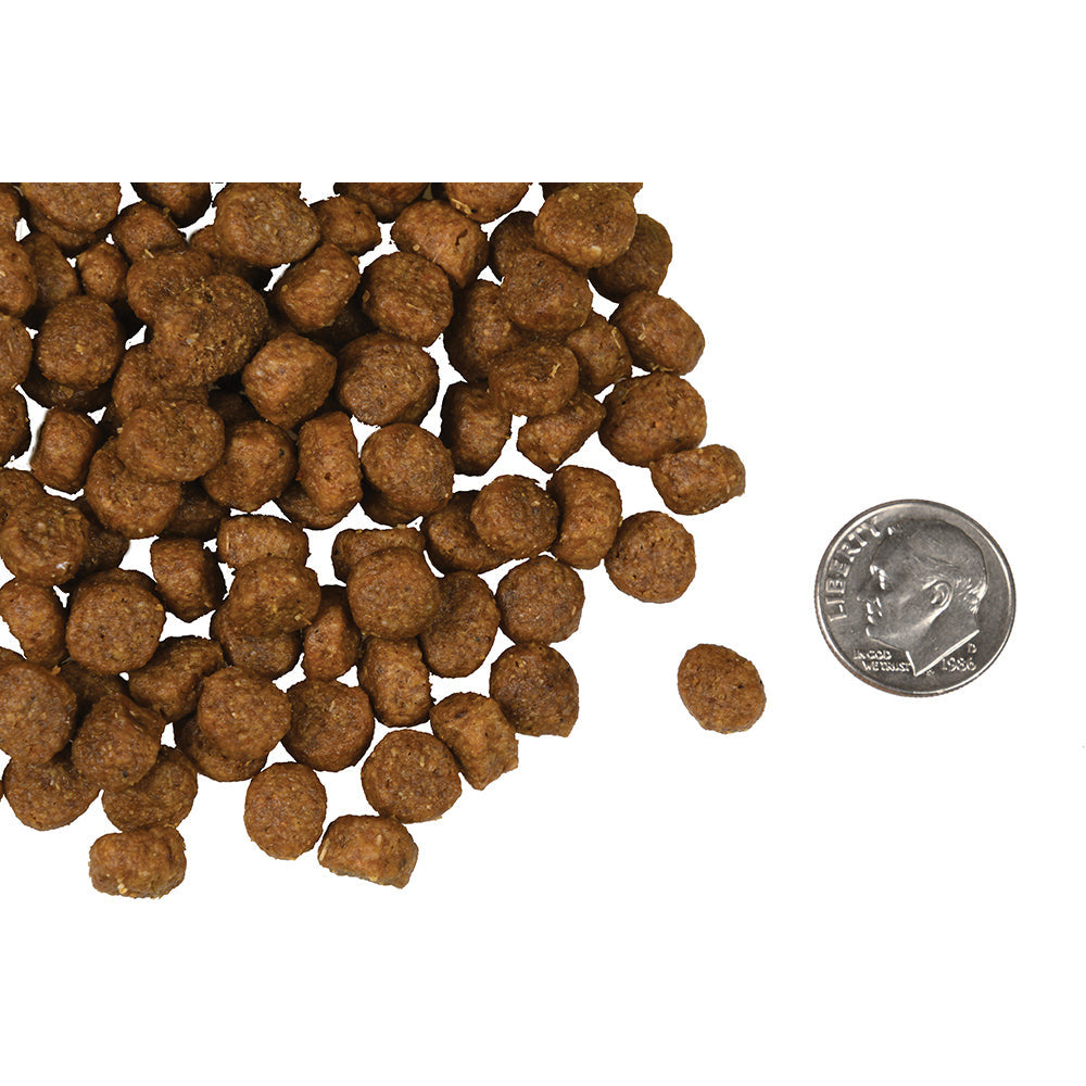 Fromm 4-Star Canine Whitefish & Potato  Dog Food  | PetMax Canada