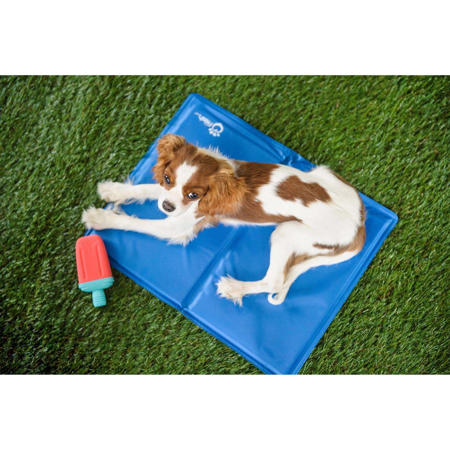 Dog cooling mat canada hot sale