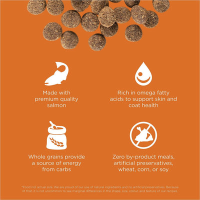 GO! SKIN + COAT CARE Salmon Recipe for dogs - 1.59 Kg - Dog Food - Go! - PetMax Canada