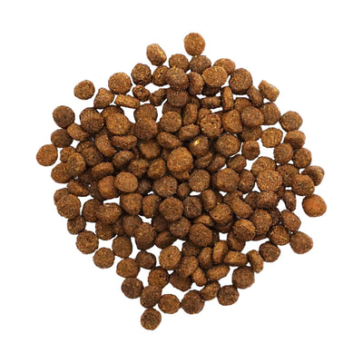 Go! Solutions Ancient Grain Digestion & Gut Health Recipe For Cats - 1.36 Kg - Cat Food - Go! - PetMax Canada