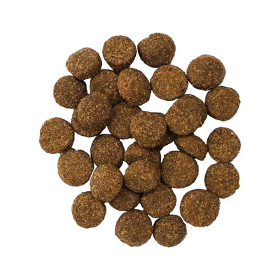 Go! Solutions Ancient Grain Digestion & Gut Health Recipe For Dogs - 1.59 Kg - Dog Food - Go! - PetMax Canada