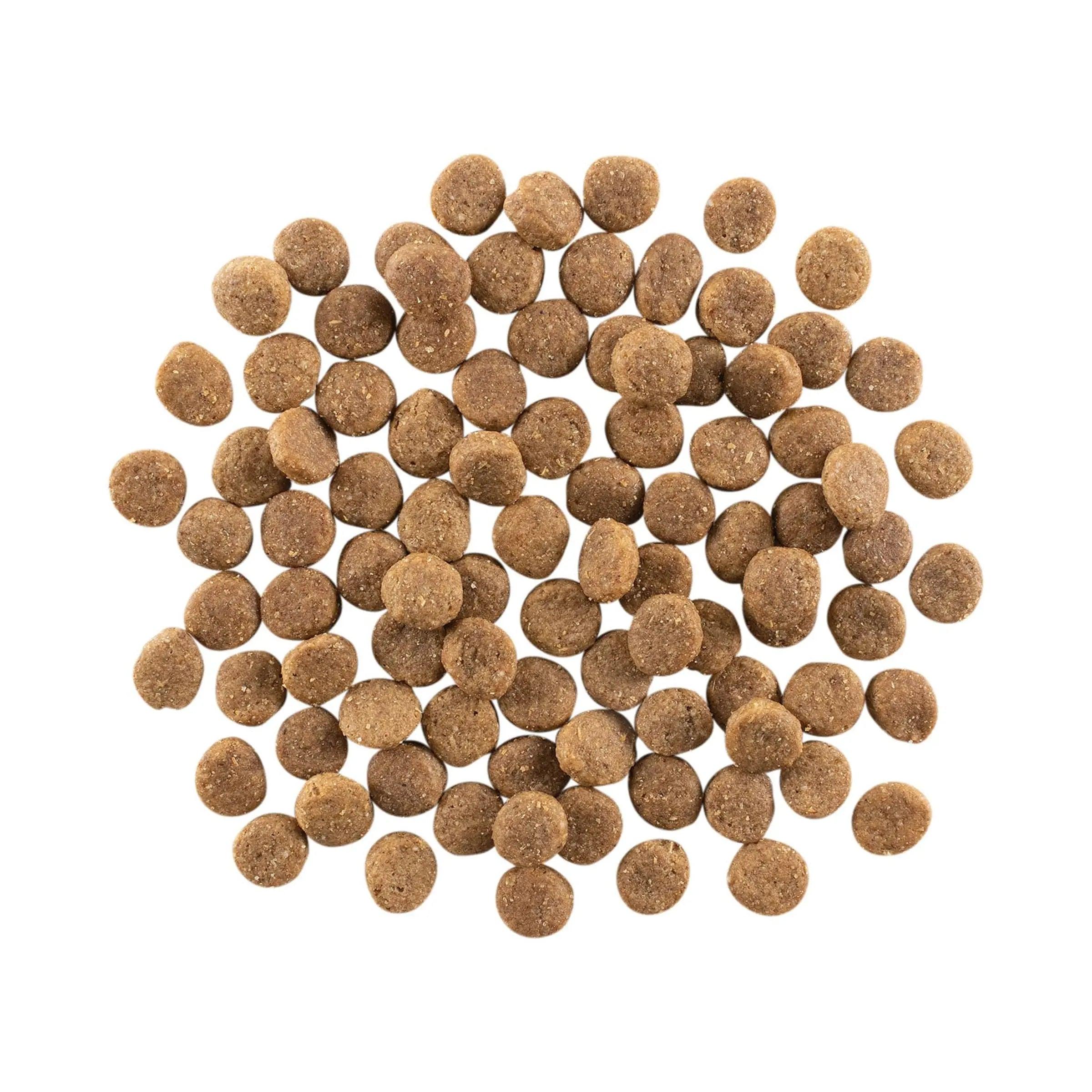 Go! Solutions Grain Free Weight Management & Joint Care Recipe For Dogs - 1.59 Kg - Dog Food - Go! - PetMax Canada