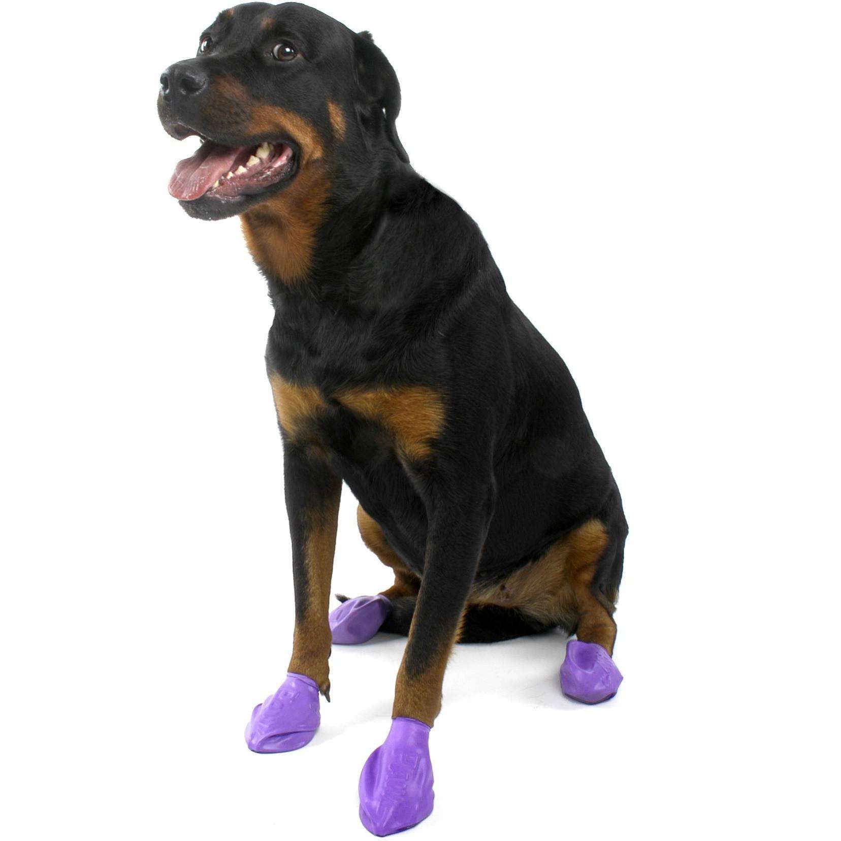 Pawz Dog Boots Purple / Large Boots Purple | PetMax Canada