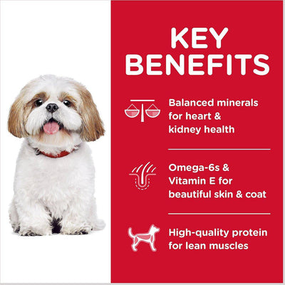 Hill's Science Diet Adult 7+ Small Bites Chicken Meal, Barley & Rice Recipe Dry Dog Food - 2.27 Kg - Dog Food - Hill's Science Diet - PetMax Canada