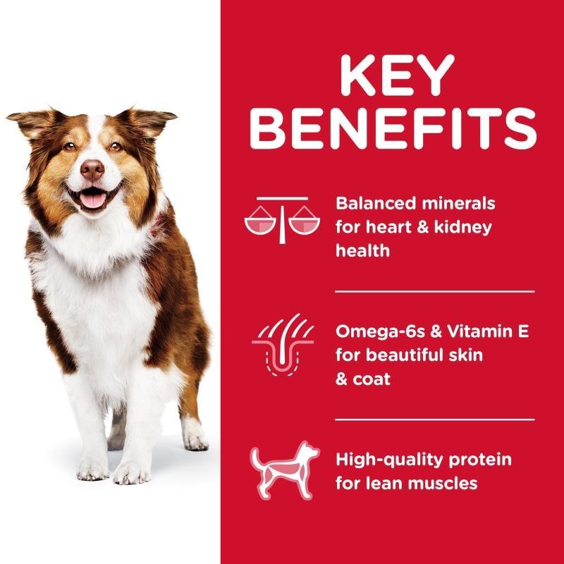 Hill's Science Diet Dry Dog Food, Adult 7+ for Senior Dogs, Chicken Meal, Barley & Brown Rice Recipe - 6.8 Kg - Dog Food - Hill's Science Diet - PetMax Canada