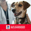 Hill's Science Diet Dry Dog Food Adult Small Bites Chicken & Barley Recipe - 2.27 Kg - Dog Food - Hill's Science Diet - PetMax Canada