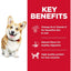 Hill's Science Diet Dry Dog Food Adult Small Bites Chicken & Barley Recipe - 2.27 Kg - Dog Food - Hill's Science Diet - PetMax Canada
