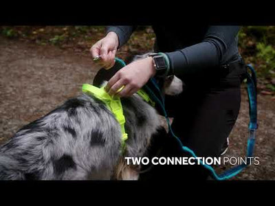 Harnais RC Dog Momentum Control Baie de Goji