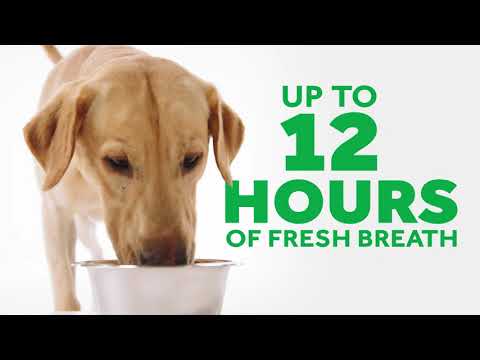 TropiClean Fresh Breath Oral Care Water Additive