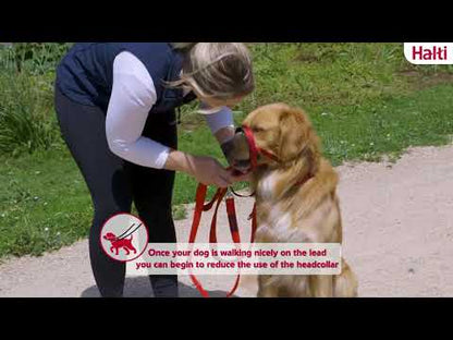Halti Headcollar
