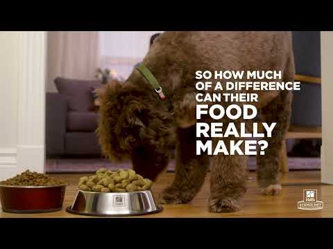 Hill's Science Diet Adult Oral Care dog food