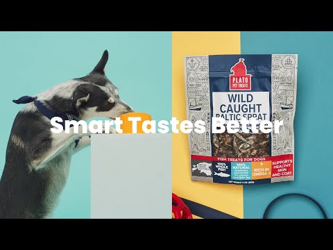 Plato Pet Treats Gâteries pour chiens au sprat de la Baltique capturées à l'état sauvage
