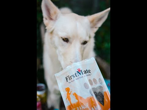 First mate fish clearance dog food