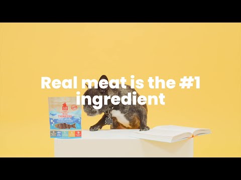 Plato Pet Treats Gâteries pour chiens en bâtonnets de viande d'agneau Mini Thinkers