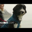 RC Cascade Dog Coat Azalea