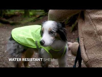 RC Pets Luna Gilet Réfléchissant Haute Visibilité