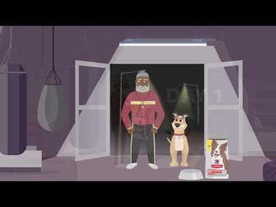 Hill's Science Diet Adult Perfect Digestion Salmon, Whole Oats, and Brown Rice Recipe Dog Food