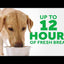 Tropiclean Fresh Breath Dental Health Solution Additif pour chiens et soutien digestif
