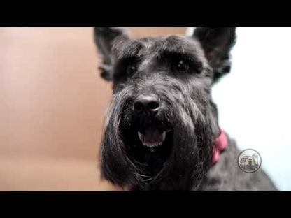 Gâterie pour chien au rouleau de joues de bœuf Red Barn Naturals