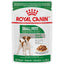 Royal Canin Wet Dog Food Pouch Small Adult  Canned Dog Food  | PetMax Canada