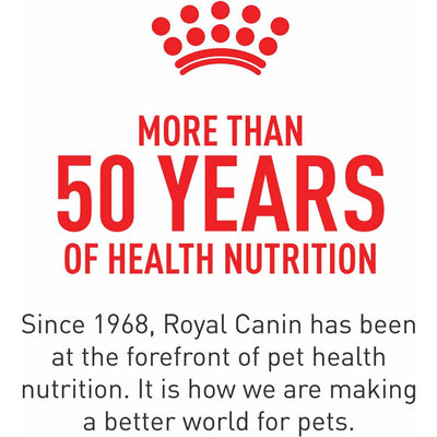 Royal Canin Appetite Control Thin Slices in Gravy Canned Cat Food - 85g - Canned Cat Food - Royal Canin - PetMax Canada