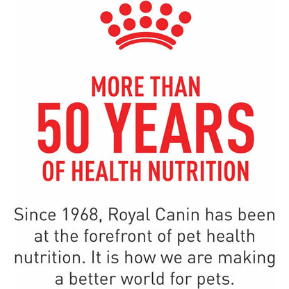 Royal Canin Appetite Control Thin Slices in Gravy Canned Cat Food - 85g - Canned Cat Food - Royal Canin - PetMax Canada